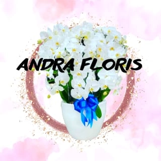 Andra Floris - Anggrek Bulan Jakarta