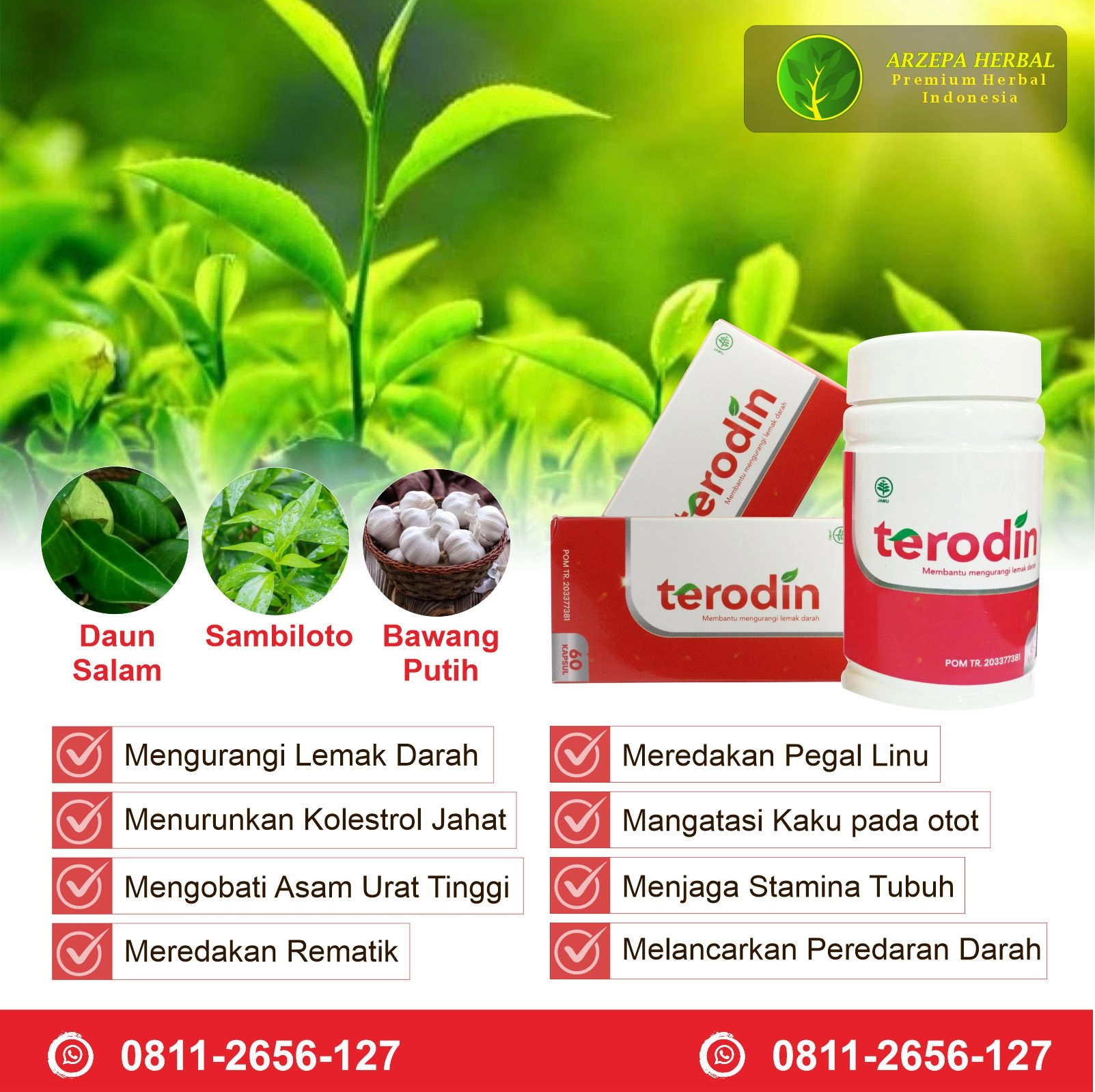 Terodin